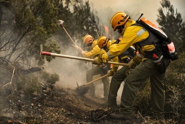 Bush fire fighting tools and equipment