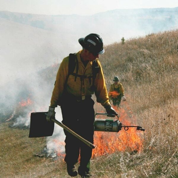 Bush fire back burning protection