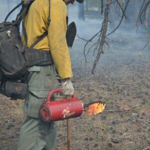 Fire Drip Torch Burning Off