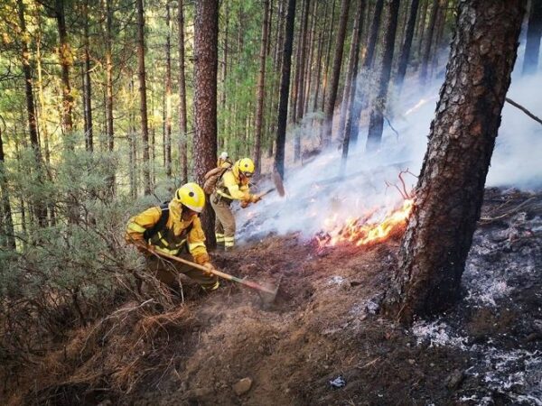 fire rake bush fire