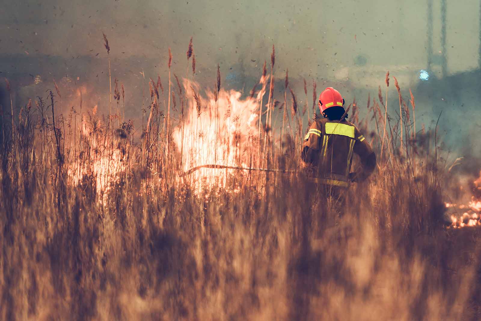 Australian bush firefighter