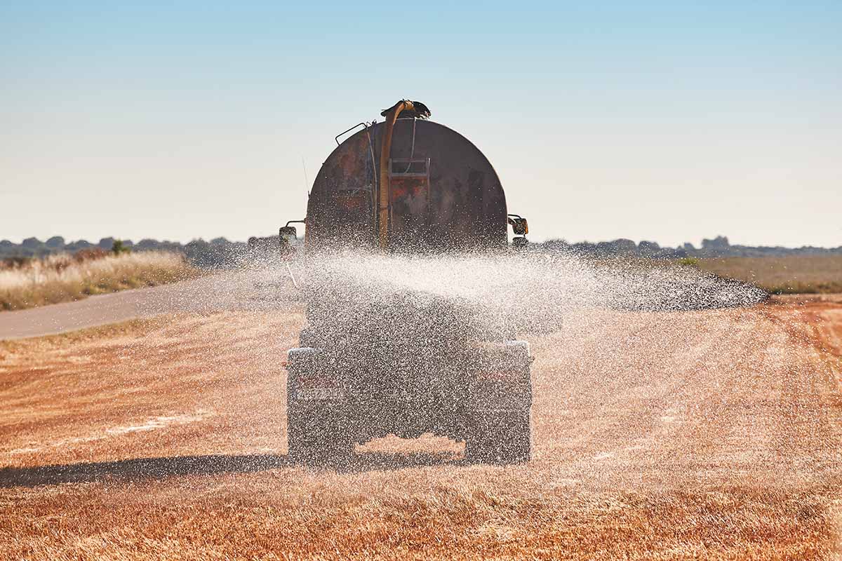 Agricultural truck irrigating a wheat field with a water tank