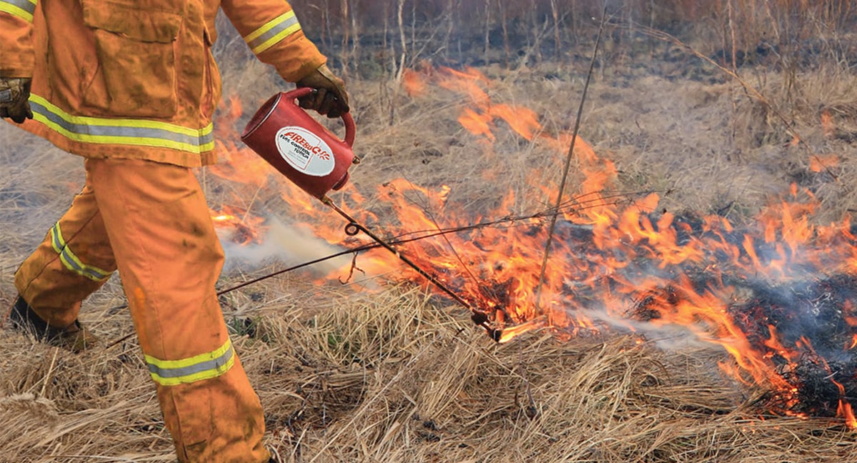 Firebug drip torches